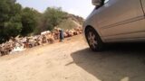 Ormanda hatunları cezalandırıyor